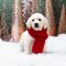 Merry (Daisy Skye)