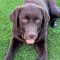 Maddox (Makya)