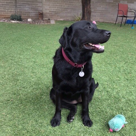 Newsletter Jasmine 2 -b