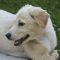 Dali (Winnie)