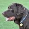Maddox (Makya)