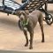 Trudy 2
